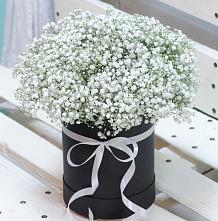Цветочная композиция из Гипсофила в шляпной коробке в Каракулино